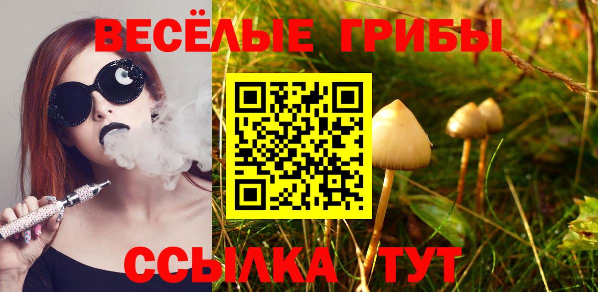 Галлюциногенные грибы Magic Shrooms Семилуки